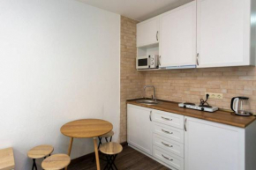 Spacious and Stylish Apartment. In New Gudauri